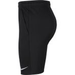Nike CW6152-010 Siyah Erkek Şort