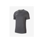 Nike CW6952-071 Dri-Fit Park Gri Erkek T-shirt