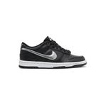 Nike DC9560-001 Dunk Low Nba Spor Ayakkabı