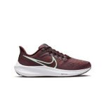 Nike DH4072-600 WMNS Air Zoom Pegasus 39 Spor Ayakkabı