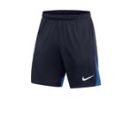 Nike DH9236-451 Df Acdpr Short Erkek Şort
