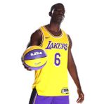 Nike DN2009-728 Los Angeles Lakers Icon Edition NBA Sarı Erkek Basketbol Forma