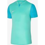 Nike DR0933-354 Dri-Fit Trophy V Erkek Yeşil Futbol Forma