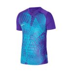 Nike DR0944-547 Mor M NK DF PRCSN VI JSY SS Erkek Futbol Forması