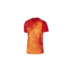 Nike DR0944-657 Precision VI Dri-Fit Kırmızı Spor Erkek T-Shirt