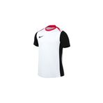 Nike Dri Fit Academy Pro 24 Ss Top K Erkek Futbol Antrenman Tişörtü FD7592-100 Renkli