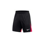 Nike Dri-Fıt Academy Pro Erkek Şort