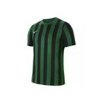 Nike Dri-fit Division 4 Erkek Yuvarlak Yaka Forma CW3813-302