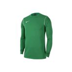 Nike Dri Fit Park 20 Crew Erkek Yeşil Yuvarlak Yaka Tişört