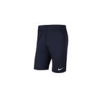 Nike Dri-fit Park Erkek Şort
