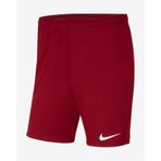 Nike Dri-FIT Park III Erkek Şort