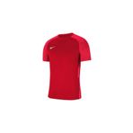 Nike Dri-fit Strike 2 Erkek T-shirt