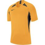 Nike Dri-Fıt Striker Legend V AJ0998-739 Erkek Tişört - Sarı