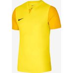 Nike Dri-Fit Trophy V Jsy Dr0933-719 Sarı Erkek Forma