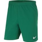 NİKE DRİ-FİT VNM III ERKEK FUTBOL ŞORTU CW3855-302