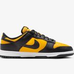 Nike Dunk Low Erkek Siyah Spor Ayakkabı FZ4618001 M-132