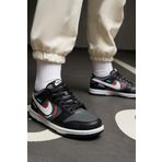 Nike Dunk Low Next Nature Genç Siyah Çocuk Ayakkabısı