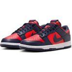 Nike Dunk Low Retro DV0833-601 Erkek Spor Ayakkabı