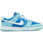 Nike Dunk Low Retro Qs 'Argon' 2022 Spor Ayakkabi