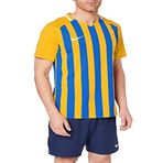 Nike Erkek Striped Division II Futbol Jersey Tişört