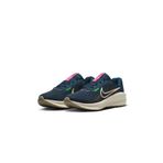 Nike FD6454-405 Downshifter 13 Erkek Koşu Ayakkabısı