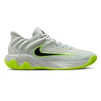 Nike FQ3680-007 Gri Giannis Immortality 4 Erkek Basketbol Ayakkabısı
