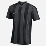 Nike FZ9337-010 Dri-Fit Stripe Jersey SS Siyah Erkek T-Shirt