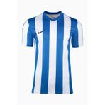 Nike FZ9337-101 Mavi Dri-FIT Stripe Jersey SS Erkek T-Shirt