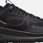 Nike HM9728-002 Pegasus Trail 4 GTX V2 Arazi Tipi Erkek Spor Ayakkabı