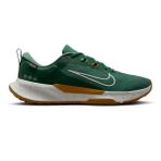 Nike HM9734-301 Gri Juniper Trail 2 Gore-Tex V2 Erkek Koşu Ayakkabı