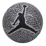 Nike J.100.6753.056.03 Çok Renkli Jordan Skills 2.0 Çocuk Basketbol Topu