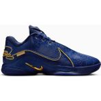 Nike Lebron 22 Nrg Monopoly Mens Basketball Shoes Erkek Basketbol Ayakkabısı Lacivert