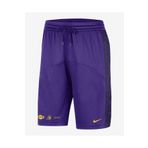 Nike Los Angeles Lakers Starting 5 Courtside Dri-FIT NBA Graphic Erkek Basketbol Şort