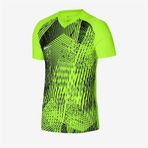 Nike M Dri-fıt Precision Vı Jersey Ss Erkek Forma Yeşil