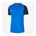 Nike M Dri-FIT Trophy V Jersey SS Erkek Forma DR0933-463