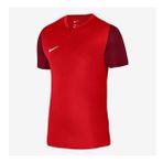 Nike M Dri-FIT Trophy V Jersey SS Erkek Forma DR0933-657