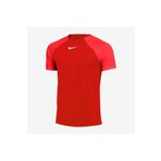 Nike M Nk Df Acdpr Ss Top K Erkek Antrenman Tişörtü