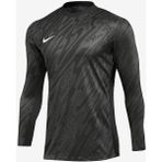 Nike M Nk Df Gardien V Gk Jsy Ls Erkek Kaleci Forması - Siyah - Gri