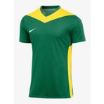 Nike M Nk Df Prk Drb IV Jsy Ss Erkek Forma
