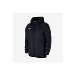 Nike M Nk Thrm Rpl Park20 Fall Jkt Erkek Mont