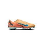 Nike Mercurial Zoom Vapor 16 Academy KM FG/MG Erkek Çoklu Çim Kramponu FQ8377-801