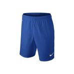 Nike Nıke Erkek Şort 473829-463