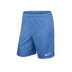 Nike Park II Knit No Briefs 725887 Turkuaz Erkek Şort