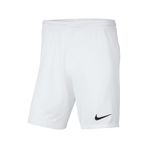 Nike Park Iıı Byeaz Erkek Futbol Şortu Çok Renkli