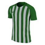 Nike Striped Division III Kadın Kısa Kol Futbol Forması, Yeşil-Beyaz