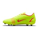 Nike Vapor 14 Club Fg/Mg Erkek Krampon CU5692-760
