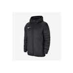 Nike W Nk Thrm Rpl Park20 Fall Jkt Kadın Mont