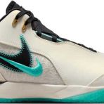 Nike Zoom Lebron Nxxt Gen Ampd Erkek Basketbol Ayakkabısı Fj1566-101