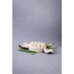 Nimba Home Hindistan Cevizi & Aloe Vera Masaj Sabunu