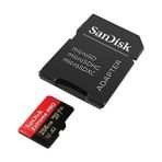 Nisar Store 256 GB Extreme Pro Microsdxc Kartı + Sd Adaptörü + Rescuepro Deluxe, 200 Mb/sn'ye Kadar, A2 App Performance, Uhs-I, 10, U3, V30 - Option-1
